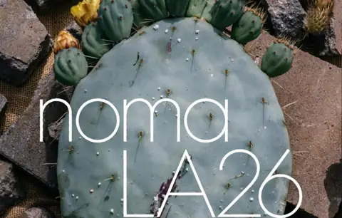 LA Foodies Chase $25 Noma Bagels After $1,500 Dinner Reservations Sell Out in Record Time