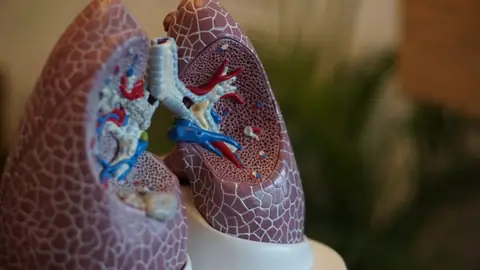 5 of the Best Lung Cancer Research Studies of 2024