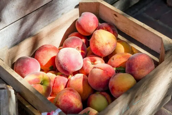 Simple and delicious peach crumble recipe.