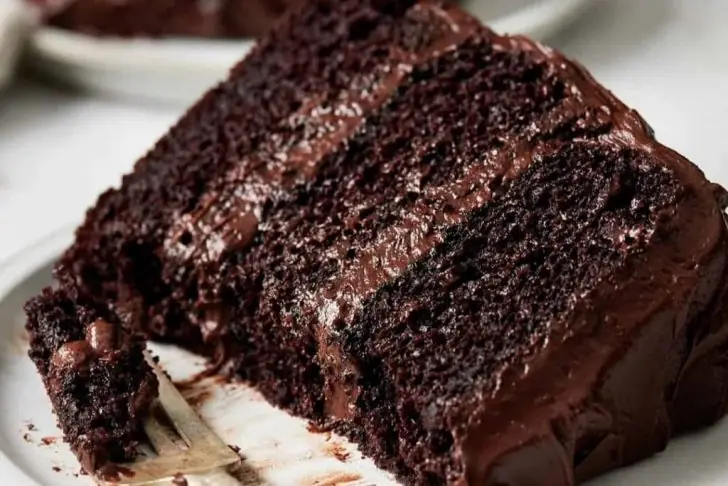 The best chocolate cake recipe.